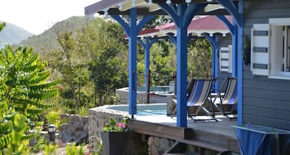 Cases créoles classified 4**** with private pools