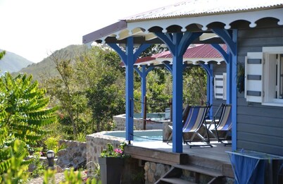 Cases créoles classified 4**** with private pools