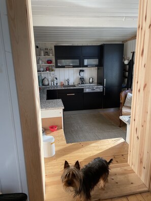 Une cuisine avec des meubles noirs, un plan de travail en granit et un chien debout sur un plancher en bois.