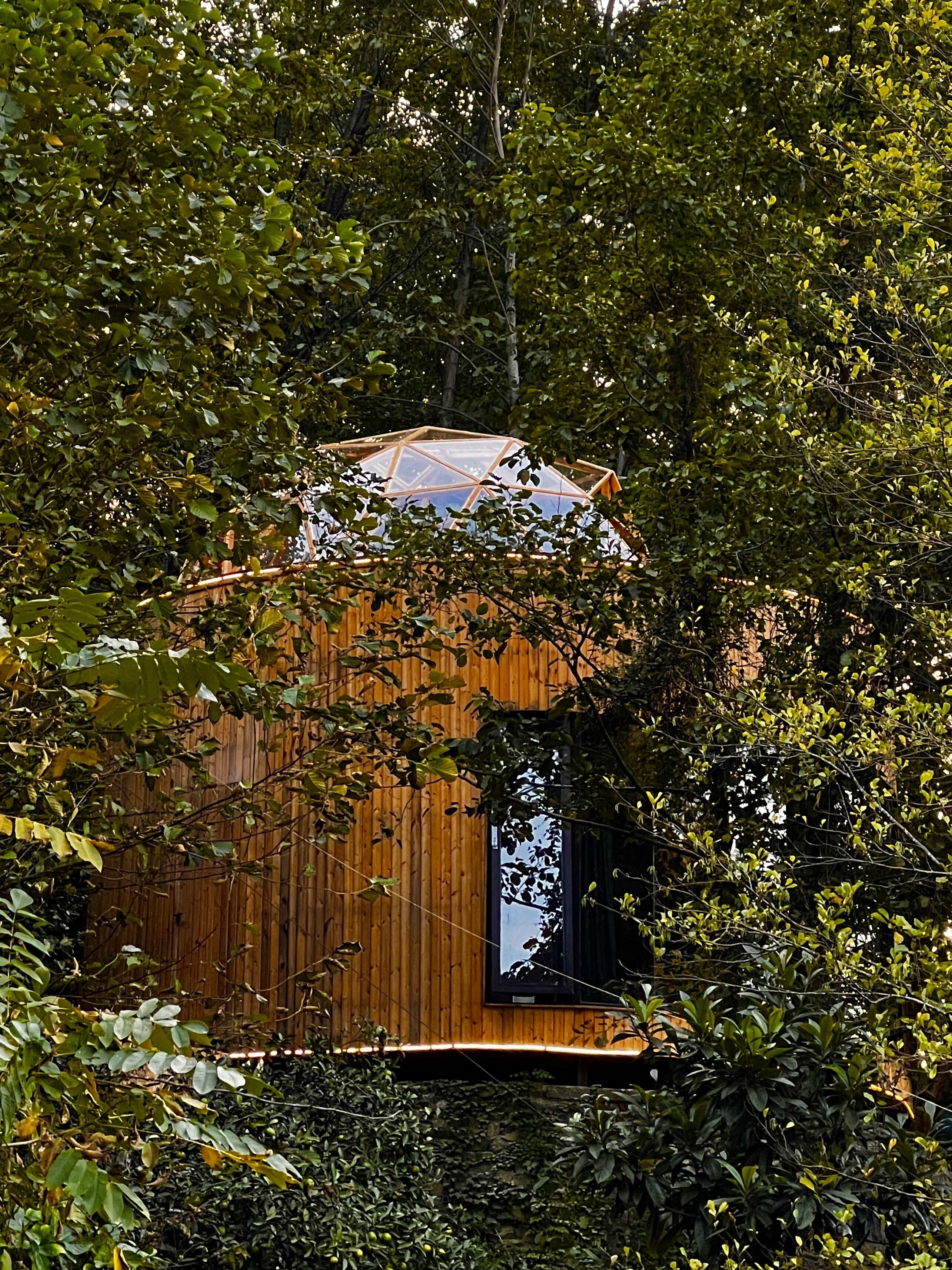 A wooden cabin nestled among dense foliage.