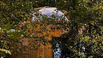 A wooden cabin nestled among dense foliage.