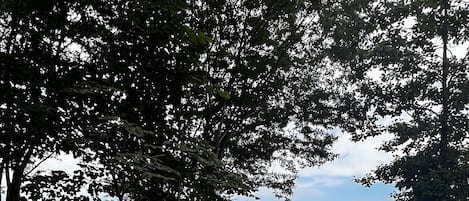 季節性室外游泳池,提供泳池遮陽傘