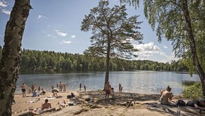 Ein Campingplatz am Seeufer, mit entspannten Menschen, die schwimmen, umgeben von Bäumen und einem klaren Himmel.
