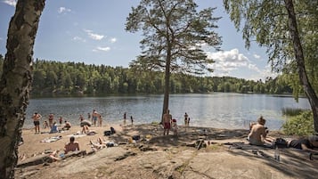 Sun-loungers, beach towels