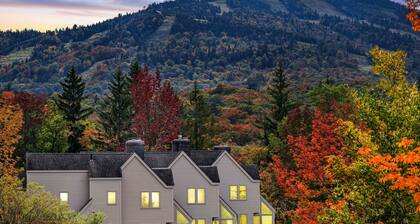 Fall Line Small Studio - Perfect For Two - On Shuttle Route W/ Amenities G6a 1 Bedroom Condo