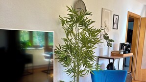 Ein modernes Wohnzimmer mit Fernseher, blauem Sessel, Topfpflanze und einer Kaffeemaschine auf einem Tisch.