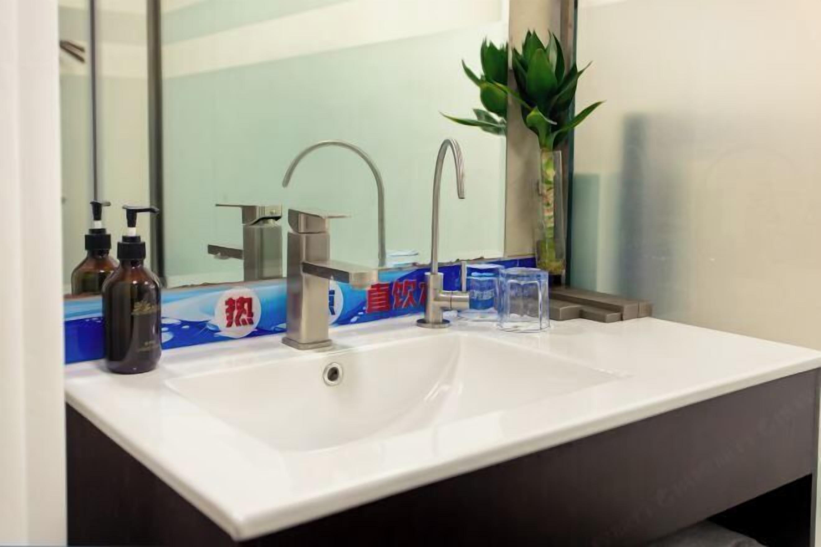 A bathroom with a white sink, two faucets, a mirror, and a plant.