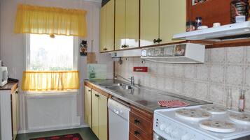 KĂŒhlschrank, Herdplatte, GeschirrspĂŒler