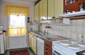 Kühlschrank, Mikrowelle, Herdplatte, Geschirrspüler
