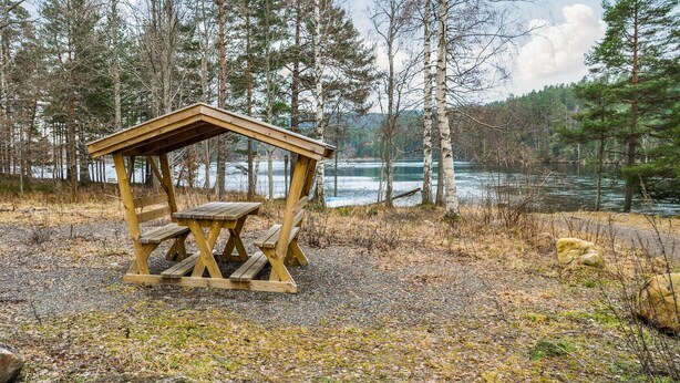 Un refugio de madera para picnic con bancos, rodeado por un bosque y un lago.