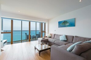 游戏机、DVD 播放器