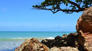 Uma costa rochosa com águas azul-claras e um galho de árvore projetando-se sobre ela.