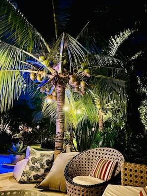 Exterior - CHILL MANGO (Paracuru)