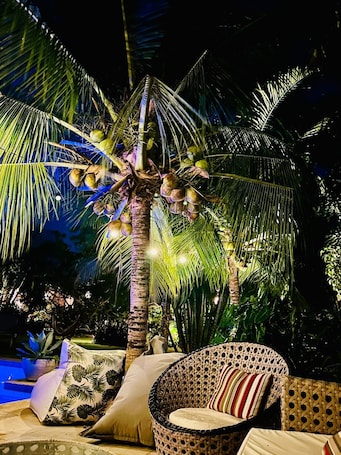 Fachada. CHILL MANGO