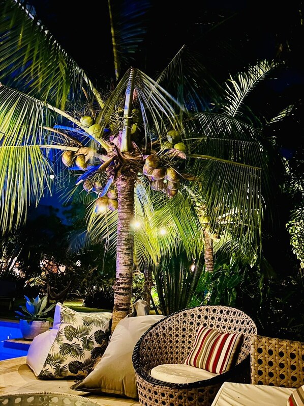 Exterior - CHILL MANGO (Paracuru)