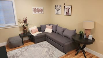 Smart TV, DVD player, books