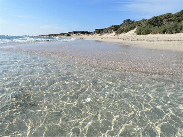 Enjoy serene beach walks along the gently sloping shoreline.