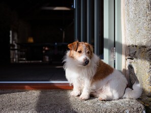 Cottage | Pet-friendly