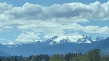 Panoramic Room, 1 Katil Raja (King), Mountain View | Pemandangan dari bilik