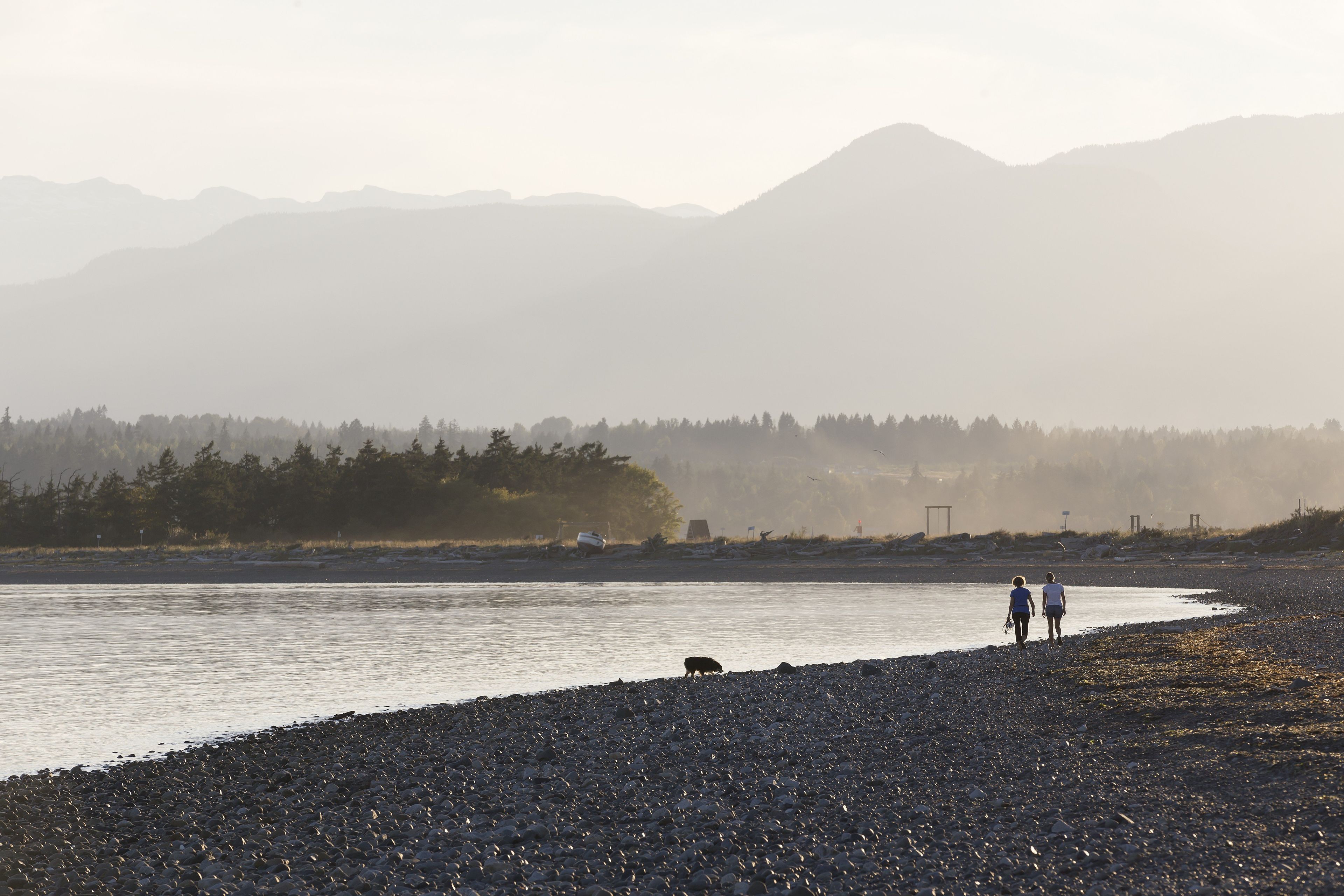 Une plage de galets où l’on voit deux personnes se promener, un chien et, au loin, des montagnes.