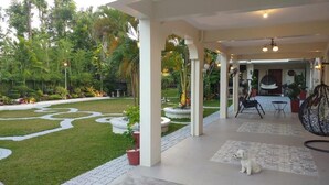 Un patio cubierto con un pequeño jardín, plantas en macetas y un perro sentado sobre una alfombra.