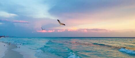 Condo, 3 Bedrooms | Beach