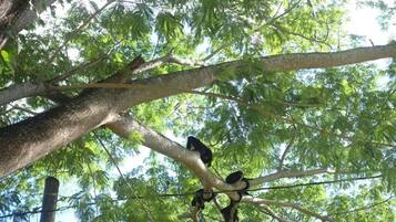 Voorkant van accommodatie