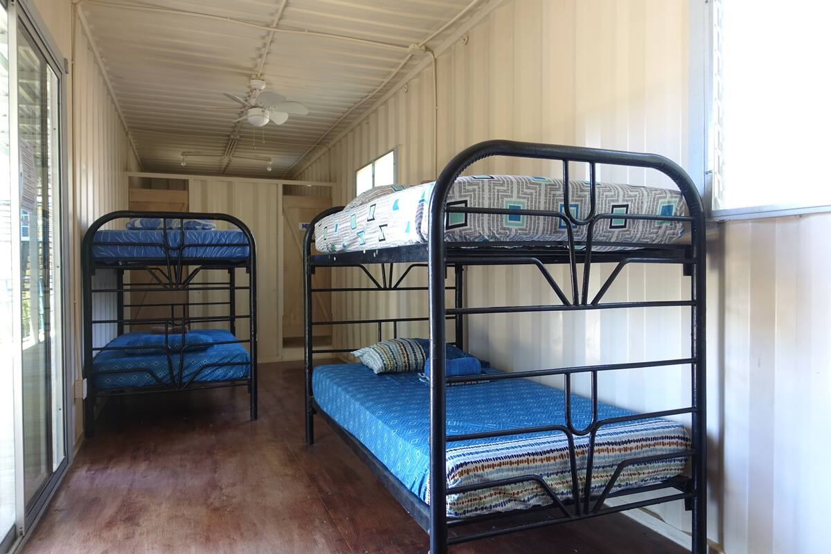 A dormitory room with bunk beds, a ceiling fan, and a window providing natural light.