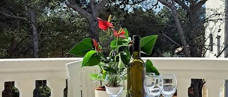 Apartment (Two Bedroom Apartment with Balcony) | Terrace/patio