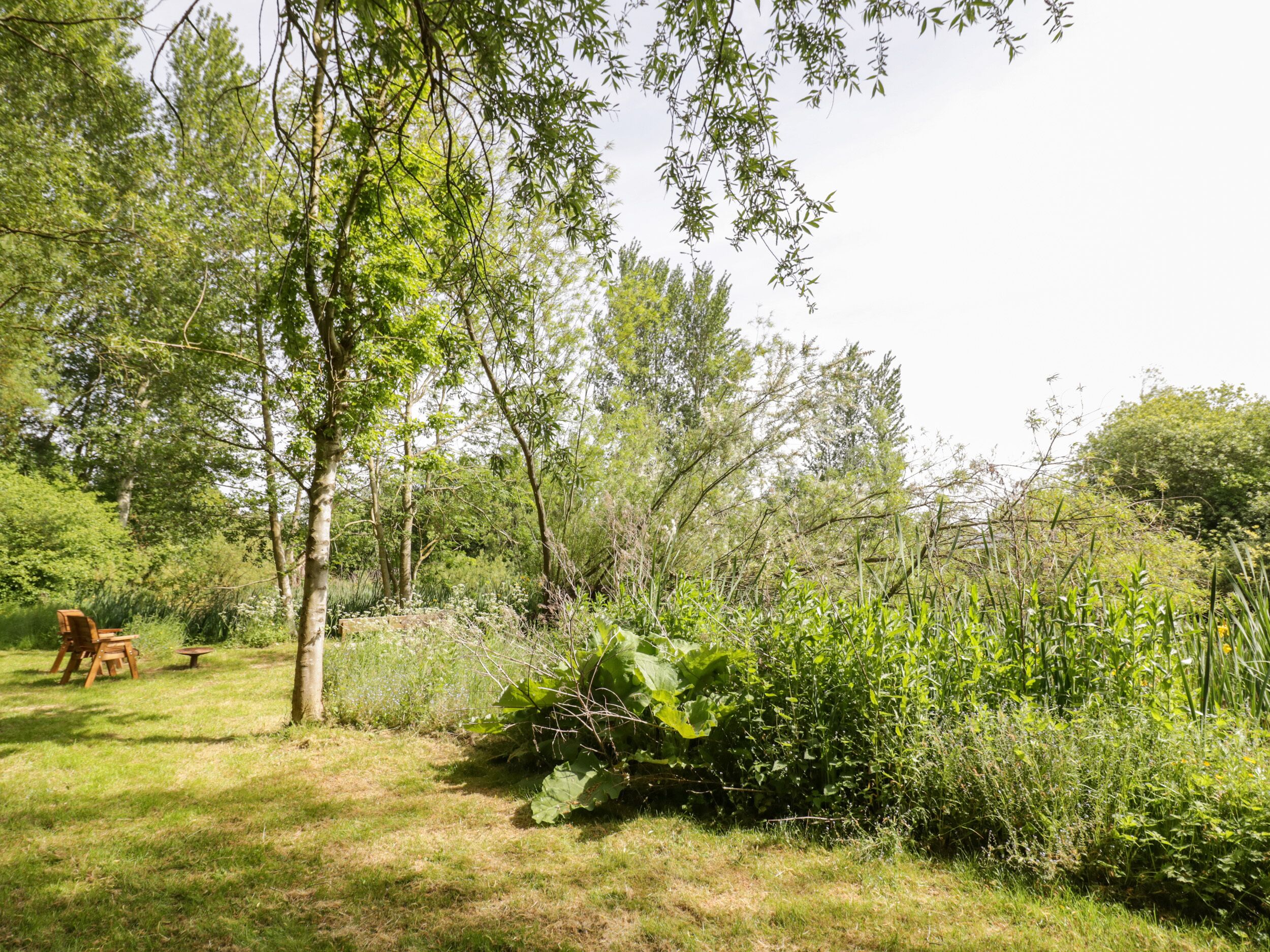 Een gazon met buitenmeubilair, een houten bank en tafel, omringd door weelderige begroeiing en bomen.