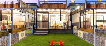Gapyeong Dangdangi Dog Pension Purple