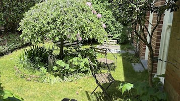 Habitación estándar | Terraza o patio