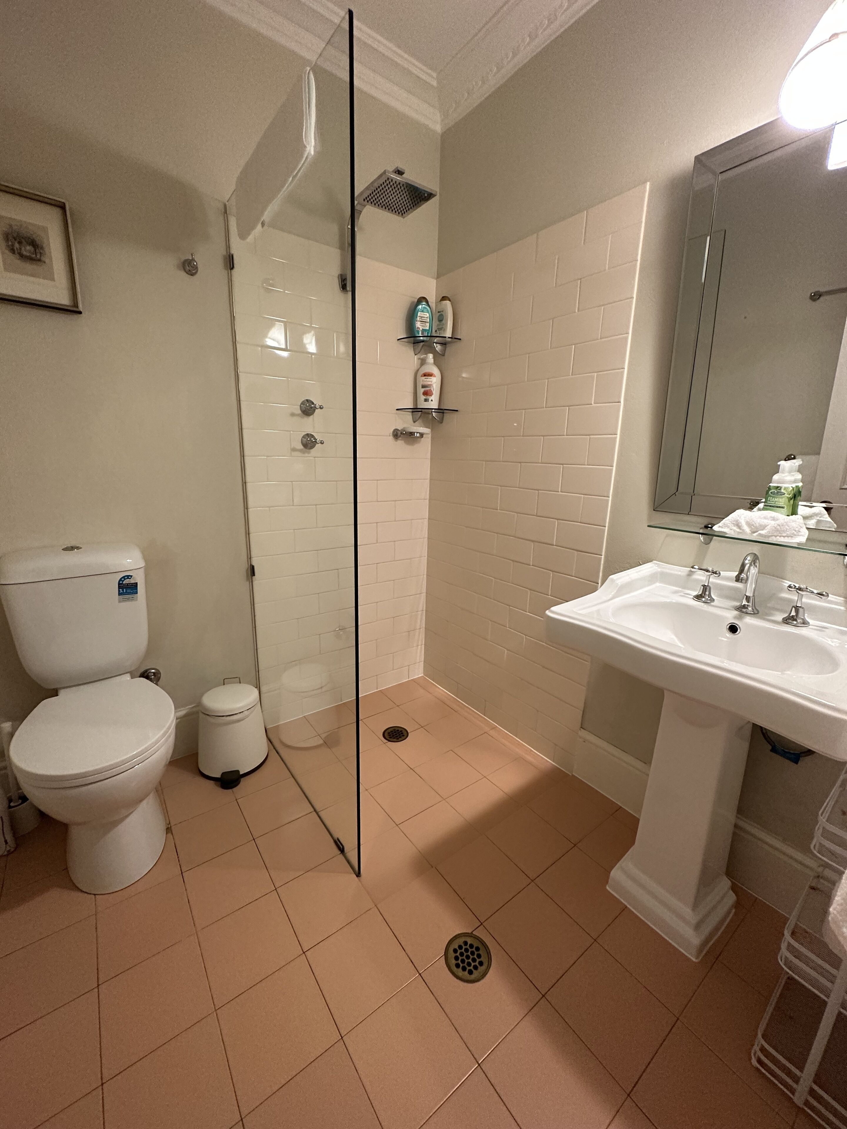 A bathroom with a toilet, a glass-enclosed shower, a sink, and a mirror.