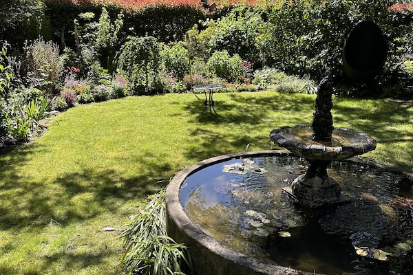 Vista al jardín