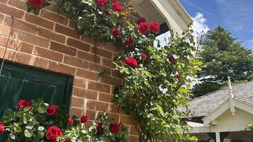 A brick building with a green door and a climbing rose bush with red flowers.