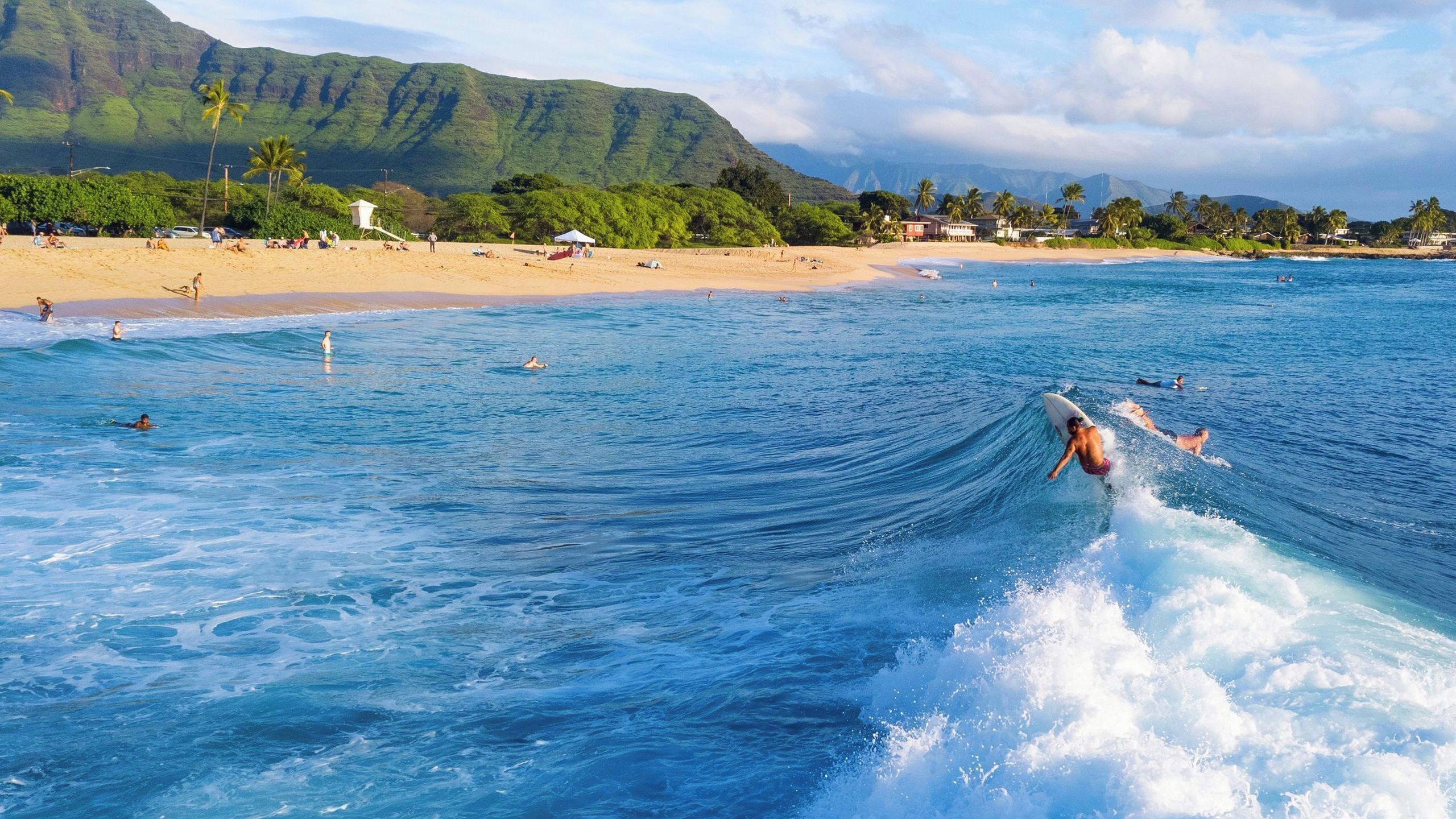 Una playa con agua azul cristalina, un surfista montando una ola, y montañas al fondo.