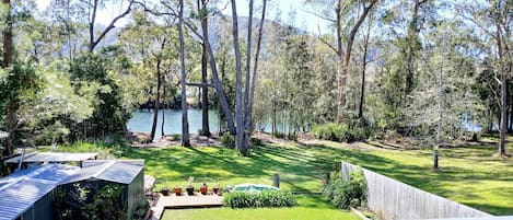 A backyard with a pond, surrounded by trees and a wooden fence.