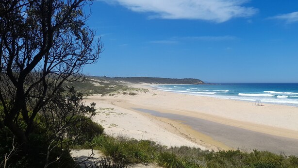 A beach with clear skies, sandy shores, and sparse vegetation.