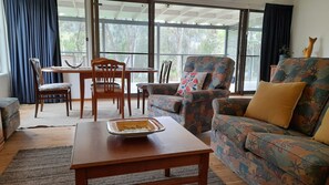 Smart TV, fireplace, books