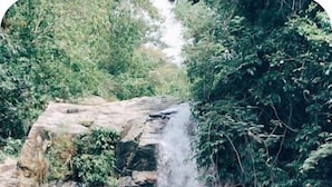 A woman in a bikini standing in a pool with a waterfall in the background. - Happy Island Inn (Virac)