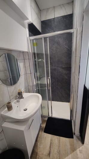 Shower, hair dryer, soap, toilet paper