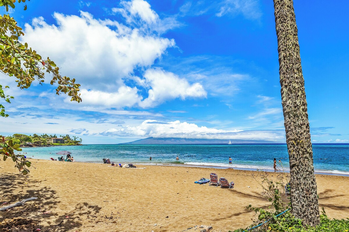 Imagen de perfil del propietario o de la propietaria