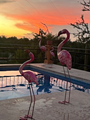 Une piscine avec des flamants roses et un coucher de soleil en arrière-plan.