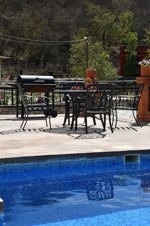 Un espace aménagé au bord de la piscine, comprenant un barbecue, du mobilier d’extérieur et des plantes en pot.