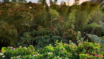 Un bosque denso con arbustos verdes y flores rosadas en primer plano.