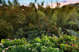 Un bosque denso con arbustos verdes y flores rosadas en primer plano.