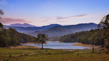 Un paisaje sereno con un lago, rodeado de colinas y árboles.