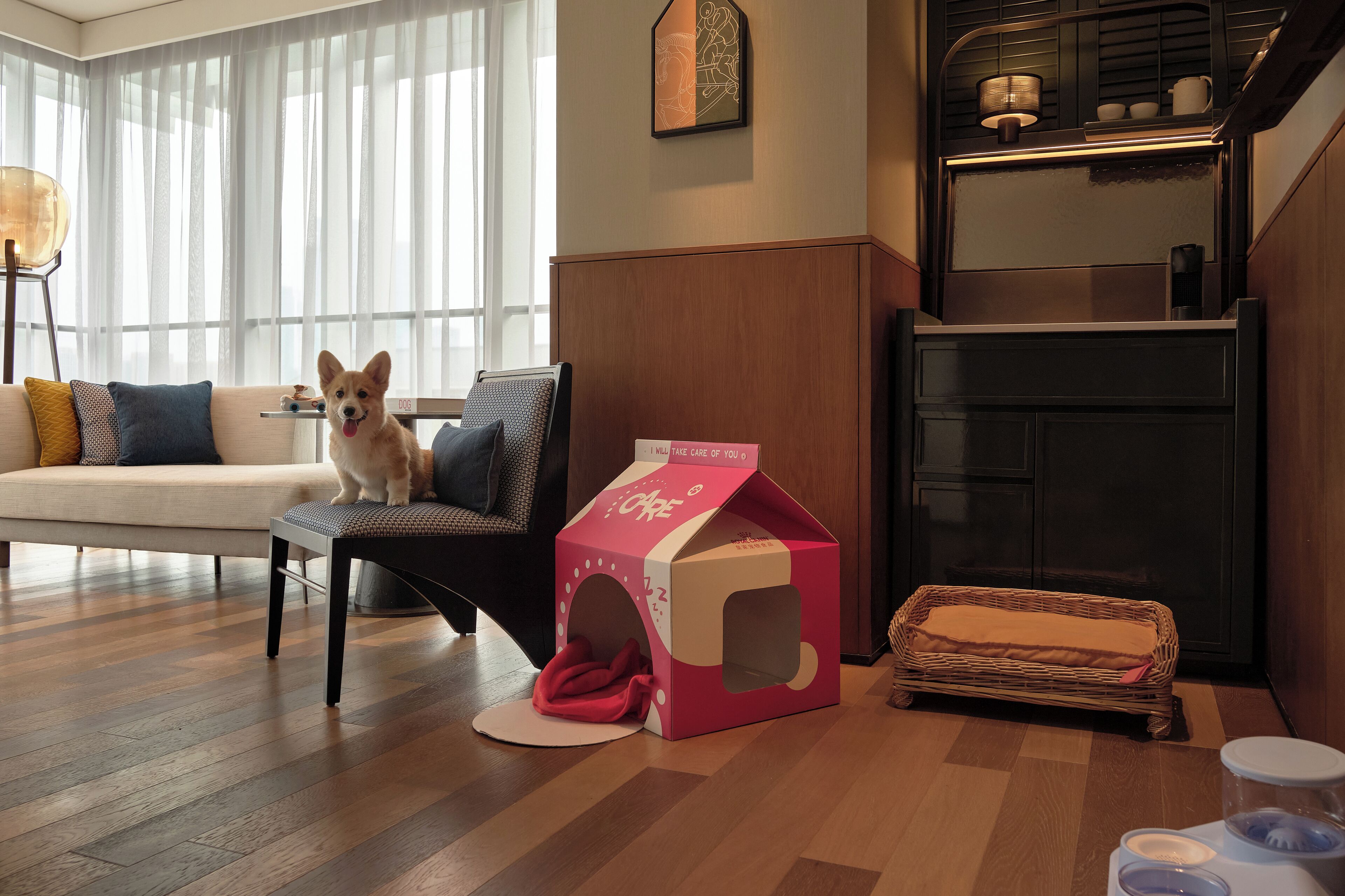 Una sala de estar con un perro, una caseta para mascotas, una cesta de mimbre y una zona de cocina.