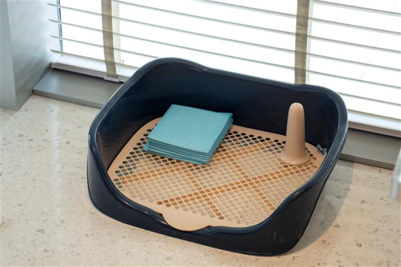 A corner of a room with a black trash bin containing a blue tissue box and a beige trash bin liner.