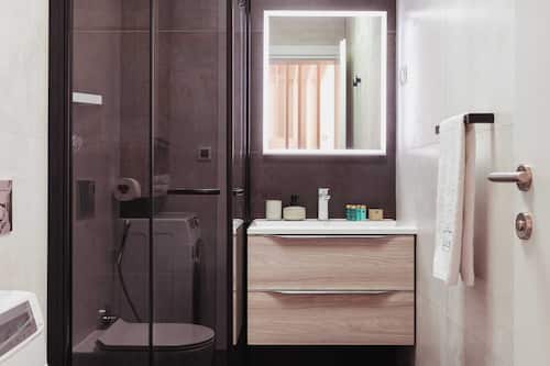 Apartment (One Bedroom Apartment) | Bathroom